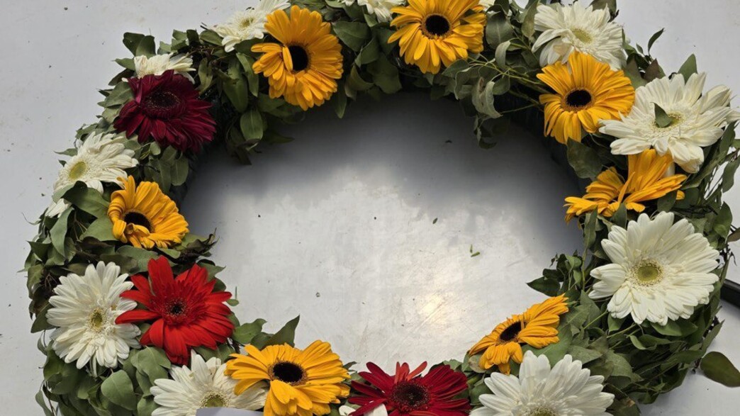 זר שנשלח לבית משלפת אלבג