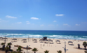 חוף ראשון לציון (צילום: shutterstock)