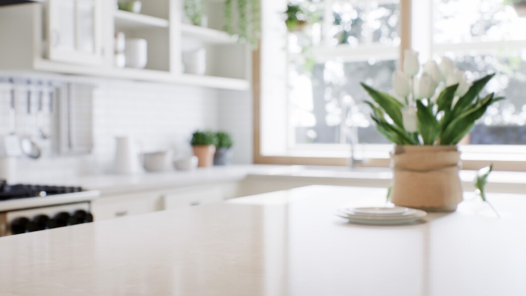 מטבח לבן, משטח עבודה, עציץ על אי מטבח מטבח לבן, משטח עבודה, עציץ על אי מטבח