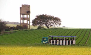 בארות בנגב (צילום: רפי בביאן)