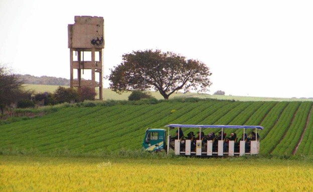 בארות בנגב (צילום: רפי בביאן)