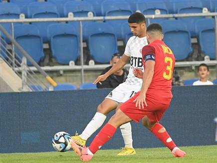 אלעד מדמון ניסה (ברני ארדוב)