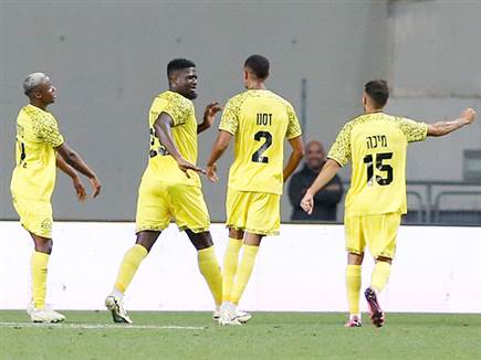 ניצחון יקר מאוד (אלן שיבר)