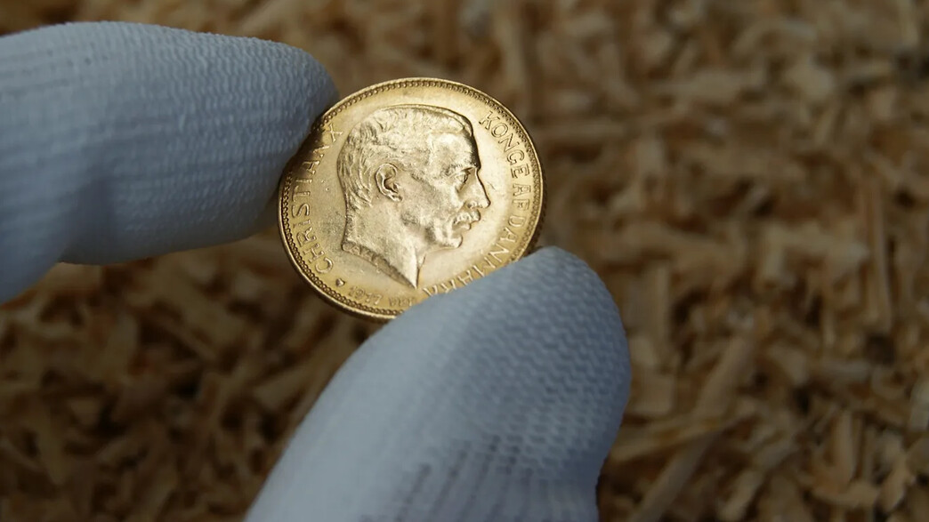 מטבע דני עתיק (צילום: ABARONS, Shutterstock)