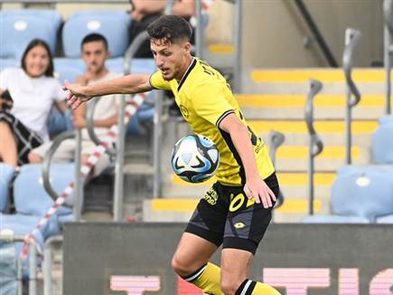 והיו יציבים יותר מפ