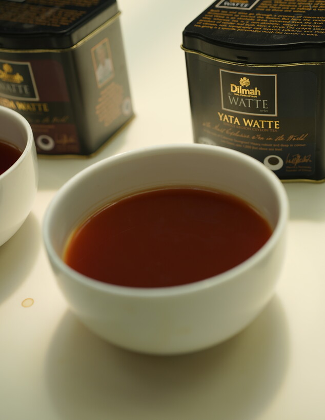 סרי לנקה תה דילמה תה שחור  (צילום: Dilmah Sri Lanka, יחסי ציבור)