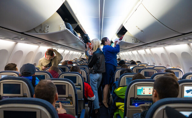 דיילת נוסעים טיסה מטוס (צילום: Try_my_best, shutterstock)