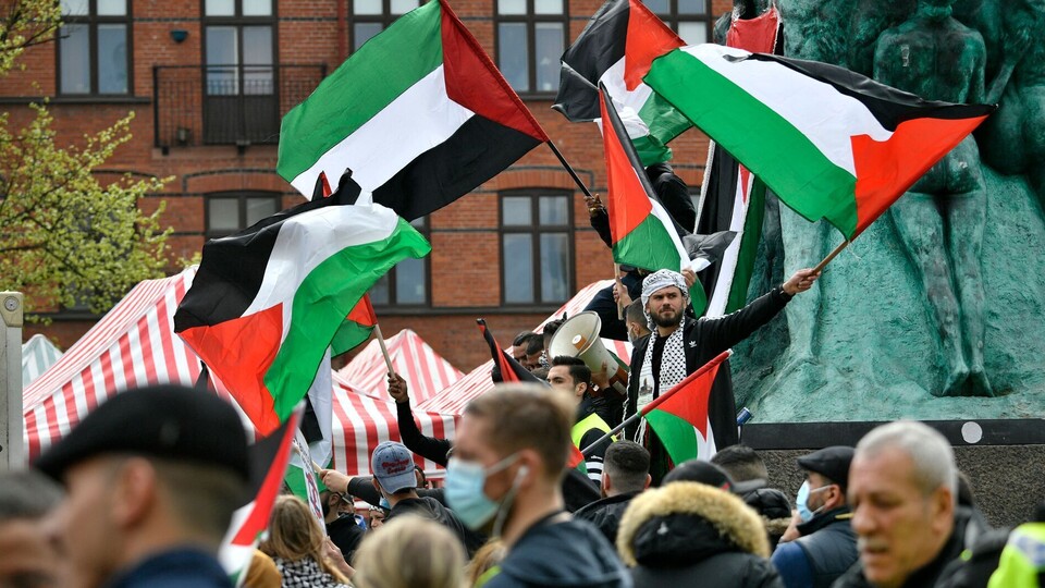 דגלים מאלמו שוודיה הפגנה פלסטינית (צילום: JOHAN NILSSON , getty images)