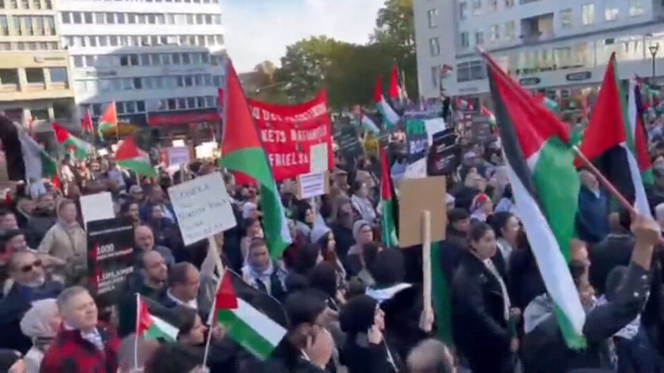 הפגנה פרו פלסטינית במאלמו