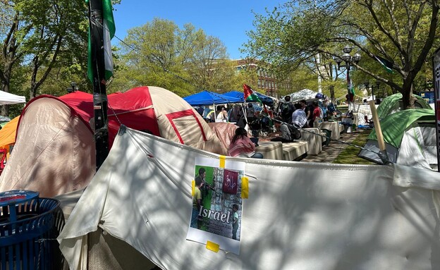 הפגנות פרו פלסטיניות במישיגן שבארה