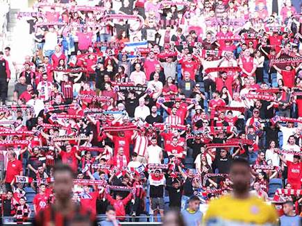 הקהל המקומי מרוצה (קובי אליהו)