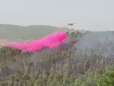 שריפת יער וחורש בסמוך לישוב עין נקובא (צילום: דוברות כבאות והצלה)