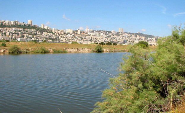 פארק הקישון, חיפה,  (צילום: דוברות עיריית חיפה  )
