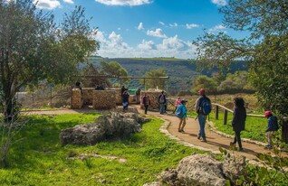 חי בר כרמל (צילום: מנו גרינשפן)