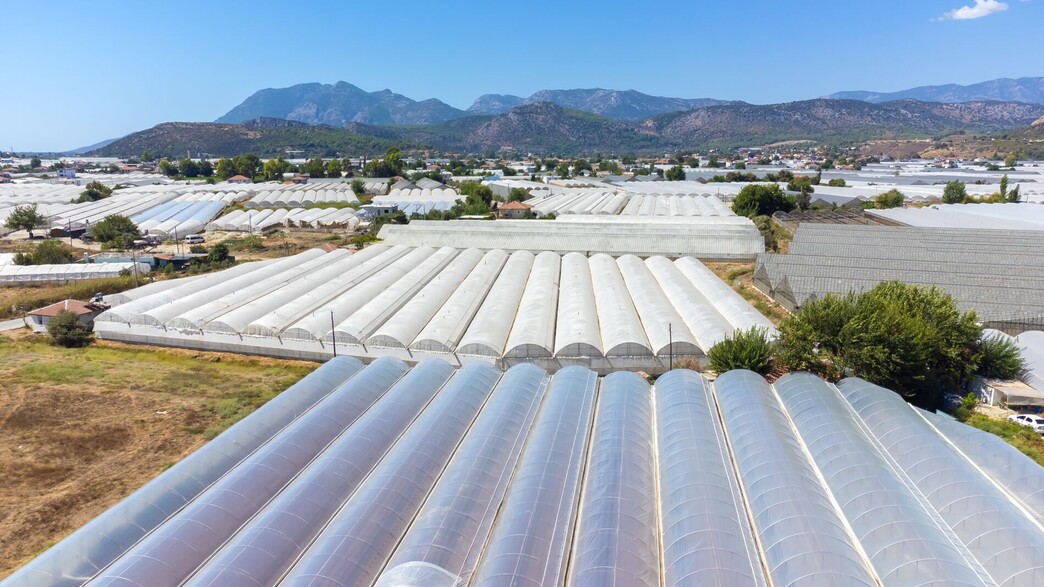 קרקע חקלאית עם חממות 