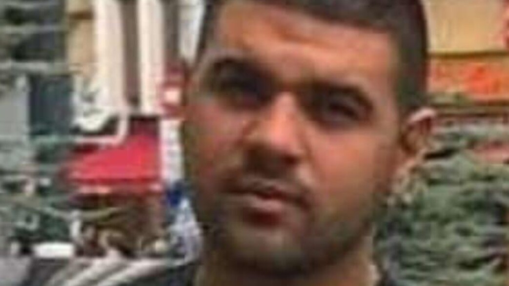 גל זוארץ גל זוארץ