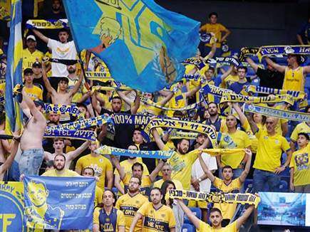 הקהל הצהוב (אלן שיבר)