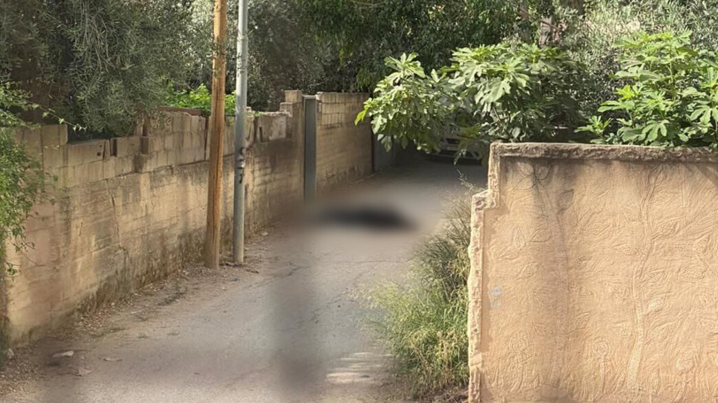 מבצע בג'נין