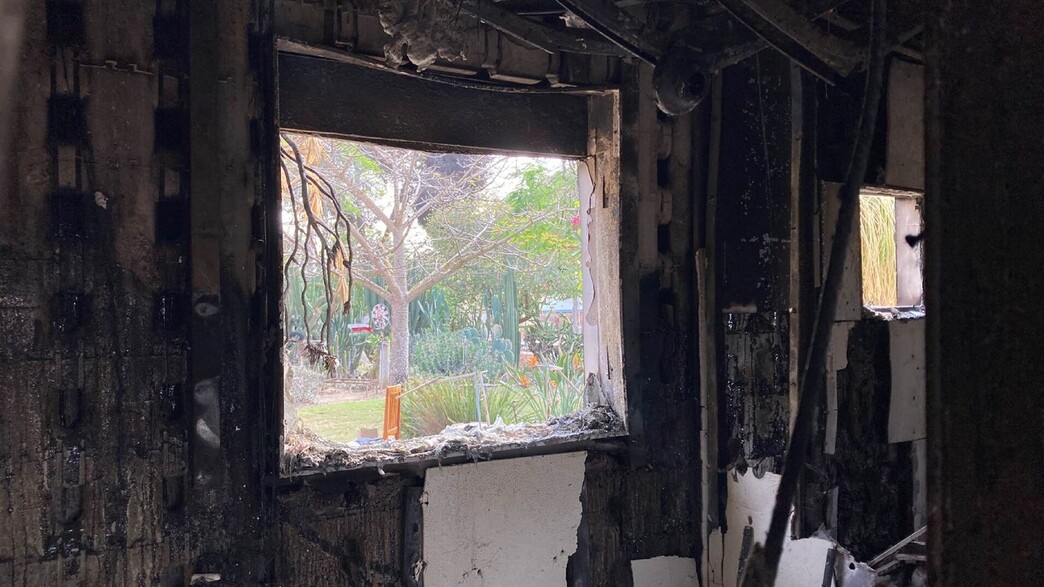 שרון ליפשיץ, נוף קקטוסים מחדר האורחים שרון ליפשיץ, נוף קקטוסים מחדר האורחים