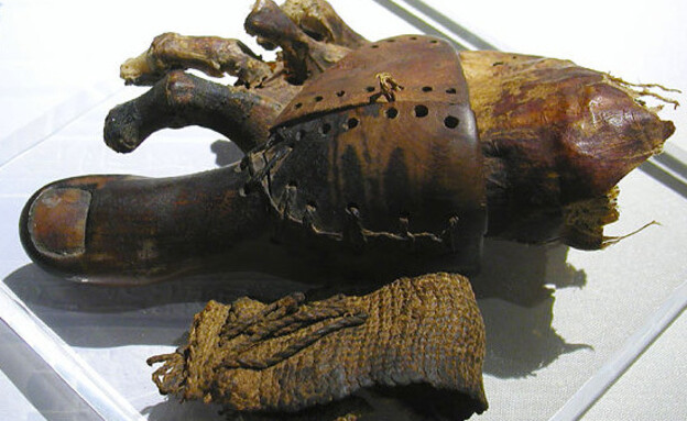 חלק מכף רגל תותבת ממצרים העתיקה  (צילום: ויקיפדיה ו-Jon Bodsworth)