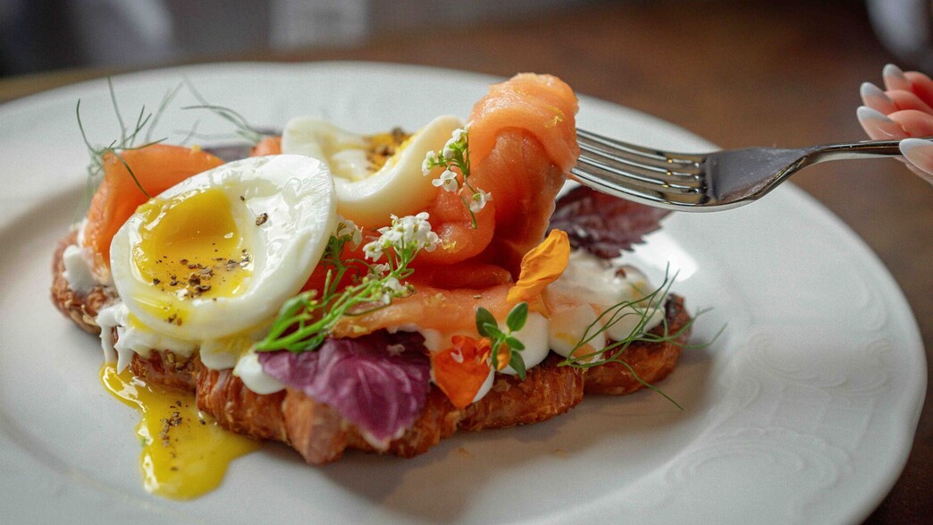 אוליפנט. חדש בחיפה אוליפנט. חדש בחיפה