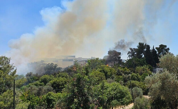 שריפת חורש וצמחייה בעמק המצלבה, ירושלים (צילום: תיעוד מבצעי כב