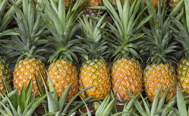 The Pineapple’s Health Benefits