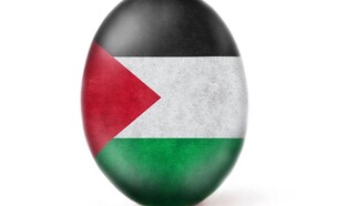 ביצת פלסטין (צילום: @world_record_egg)