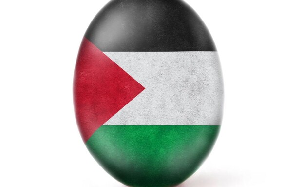 ביצת פלסטין (צילום: @world_record_egg)