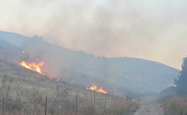 שרפות בצפון (צילום: כבאות והצלה לישראל)