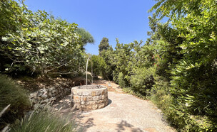 עין הוד באר (צילום: דניאל ארזי)
