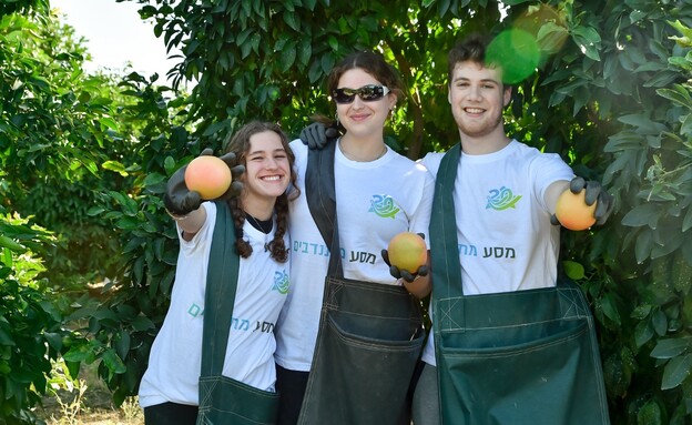 מתנדבי ארגון מסע (צילום: ארגון מסע)