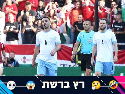 (צילום: אודי ציטיאט) (צילום: ספורט 5)