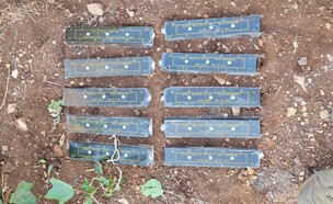 מעצר חוליה וברשותה 10 לבני חבלה (צילום: דוברות המשטרה)