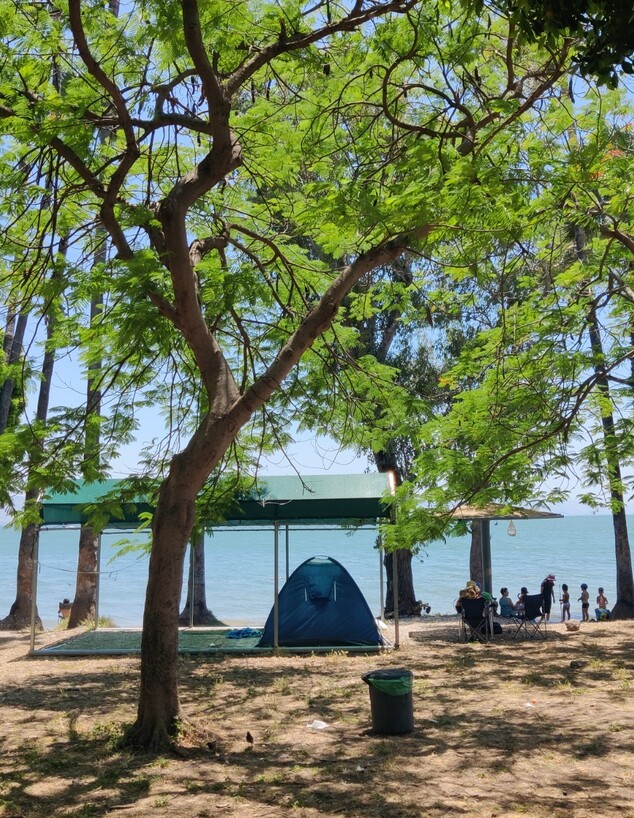 החופים הכי טובים בכנרת