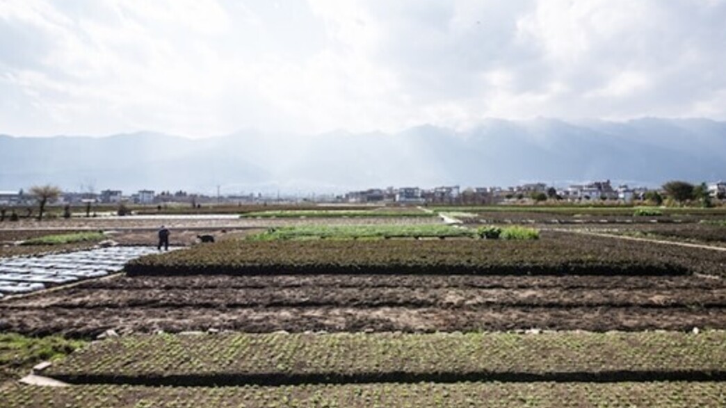 סמל יזמות נדל"ן סמל יזמות נדל"ן