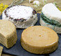 גבינות טבעוניות (צילום: Shutterstock)