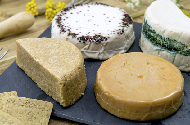 גבינות טבעוניות (צילום: Shutterstock)