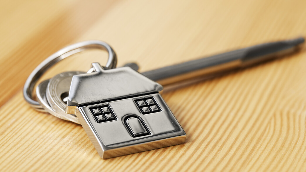 אילוסטרציה אילוסטרציה