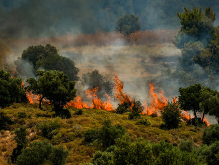 שרפות בגליל בעקבות המטח מלבנון (צילום: אייל מרגולין, פלאש 90)
