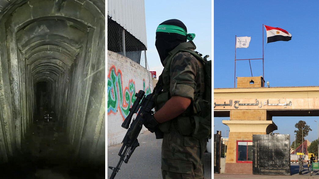 פעילות ברפיח