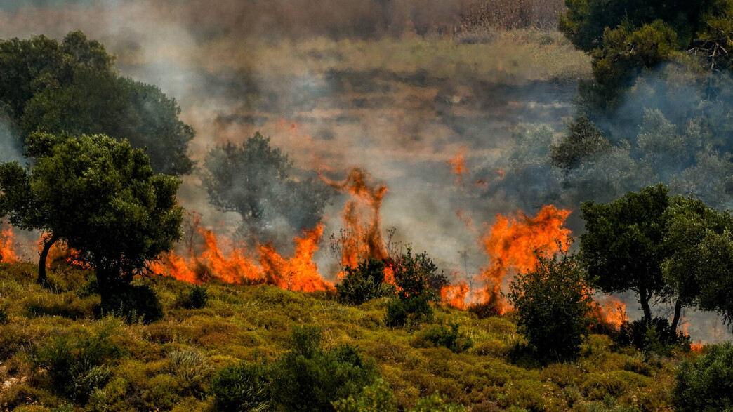 שריפות בצפון שריפות בצפון