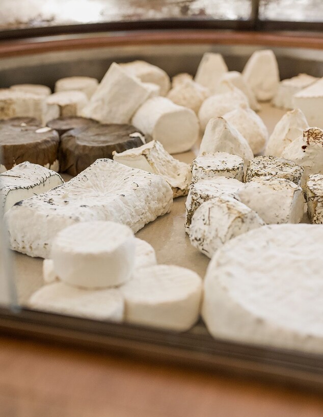 גבינות תוצרת משק עפאים, מונחות כמו תכשיטים (צילום: טלי רז, יחסי ציבור)