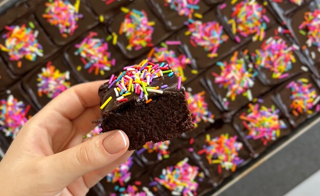 עוגת גן מקושטת עוגת גן מקושטת