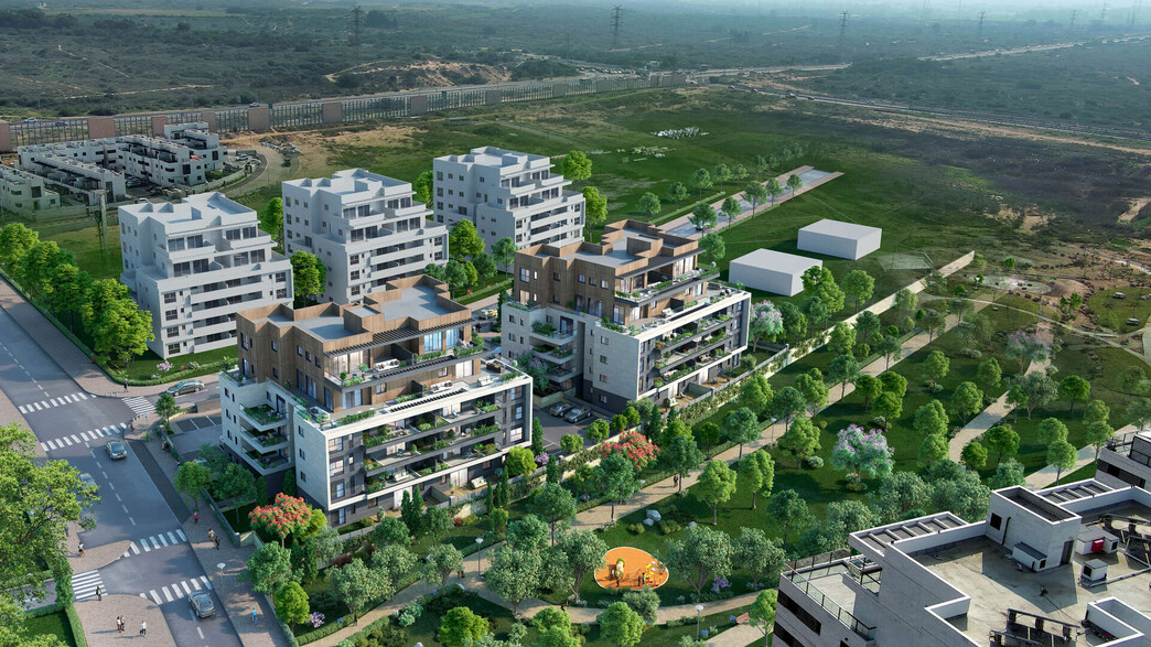 לאטי גרנדס, הדמיה