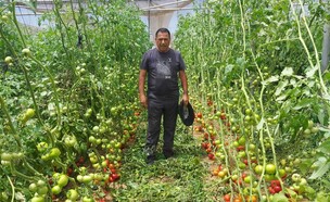 שייקה שקד, נתיב העשרה  (צילום: יחסי ציבור)