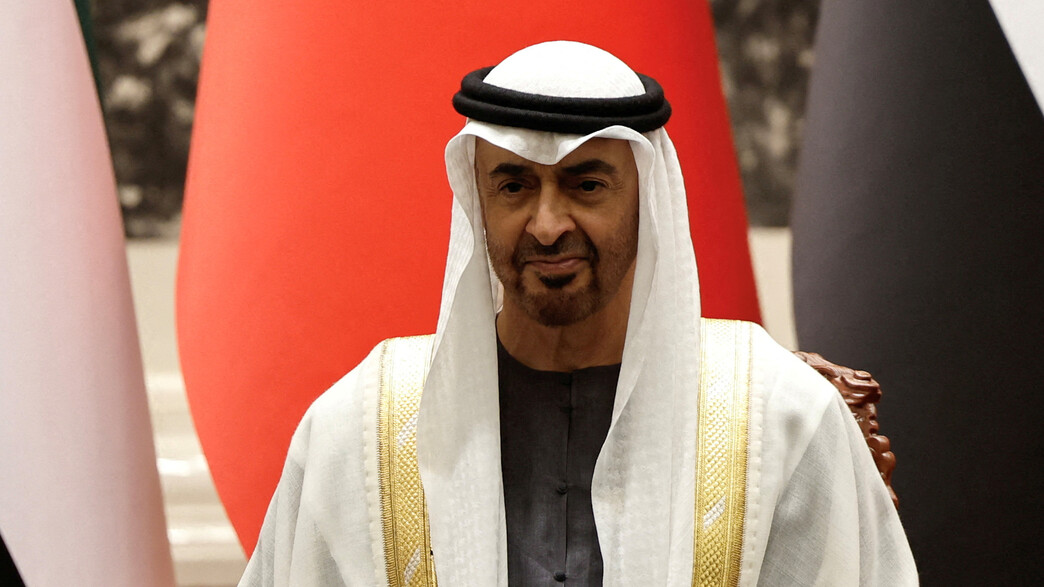 מוחמד בן זאיד, נשיא איחוד האמירויות