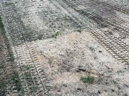 הדשא עבר קרקוף