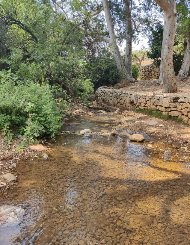 נחל צלמון (צילום: אורלי גנוסר)