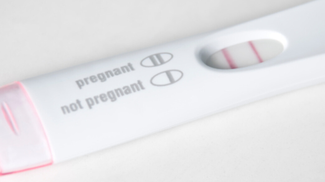 בדיקת הריון בדיקת הריון